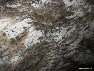 Grotta Falconiera